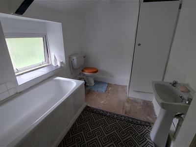 Picture 19